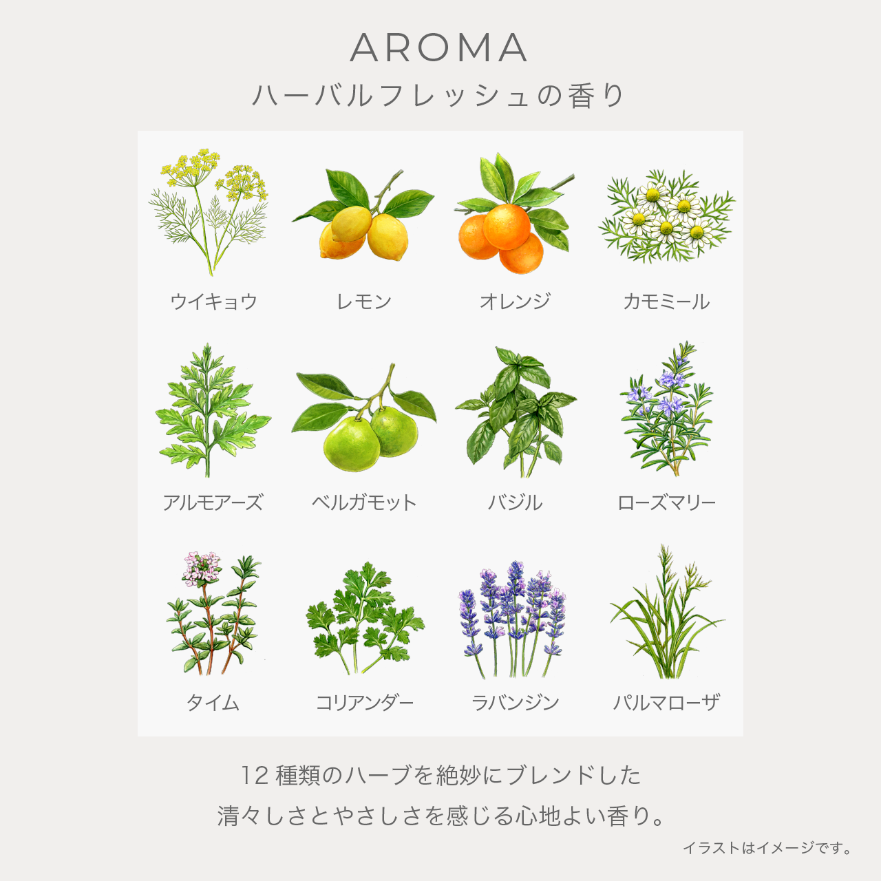 モイスト ウォッシュ クリーム | IGNIS （イグニス）公式サイト